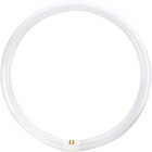 Philips 40W 16 In. Cool White T9 4-Pin Circline Fluorescent Tube Light Bulb Image 3